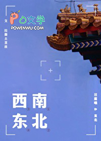 南北西东txt百度网盘