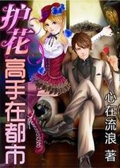护花高手在都市小说完结